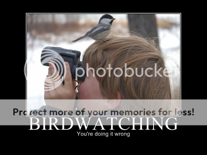 birdwatchingmotivationalpostersfunn.jpg