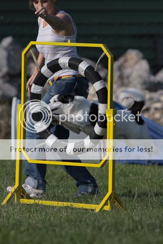 20090826-IMG_4838.jpg