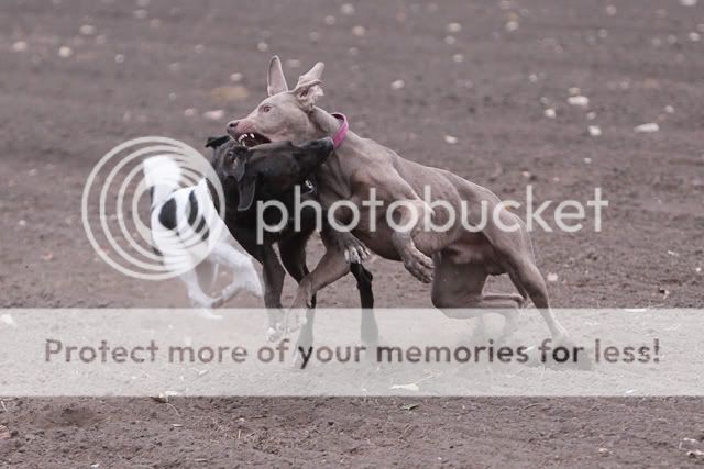 IMG_7292.jpg