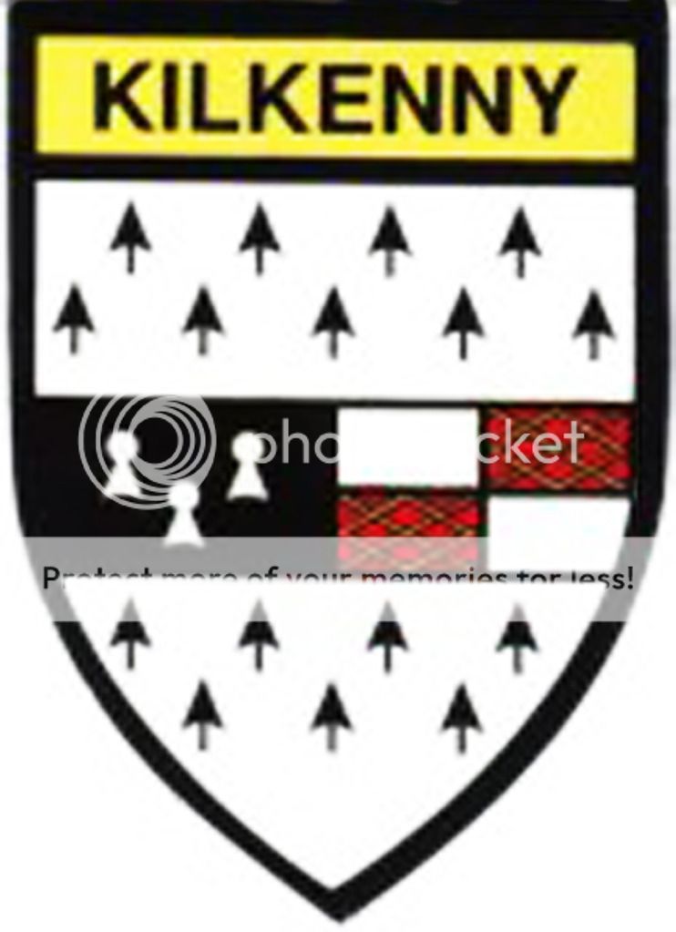Irish County Kilkenny Sticker Car Decal Crest Logo Ireland Stickers eBay