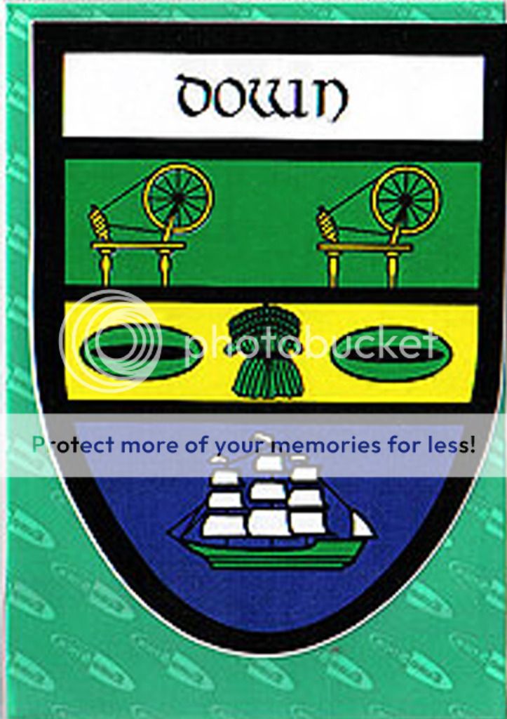 Irish County Down Sticker CAR Decal Crest Logo Northern Ireland
