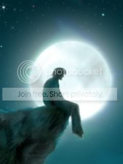 Alone_At_Moon.jpg